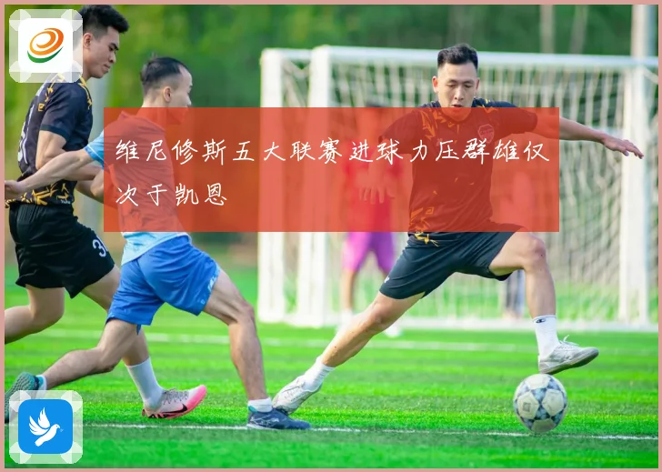 维尼修斯五大联赛进球力压群雄仅次于凯恩