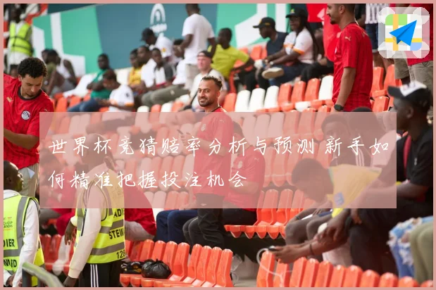 世界杯竞猜赔率分析与预测 新手如何精准把握投注机会